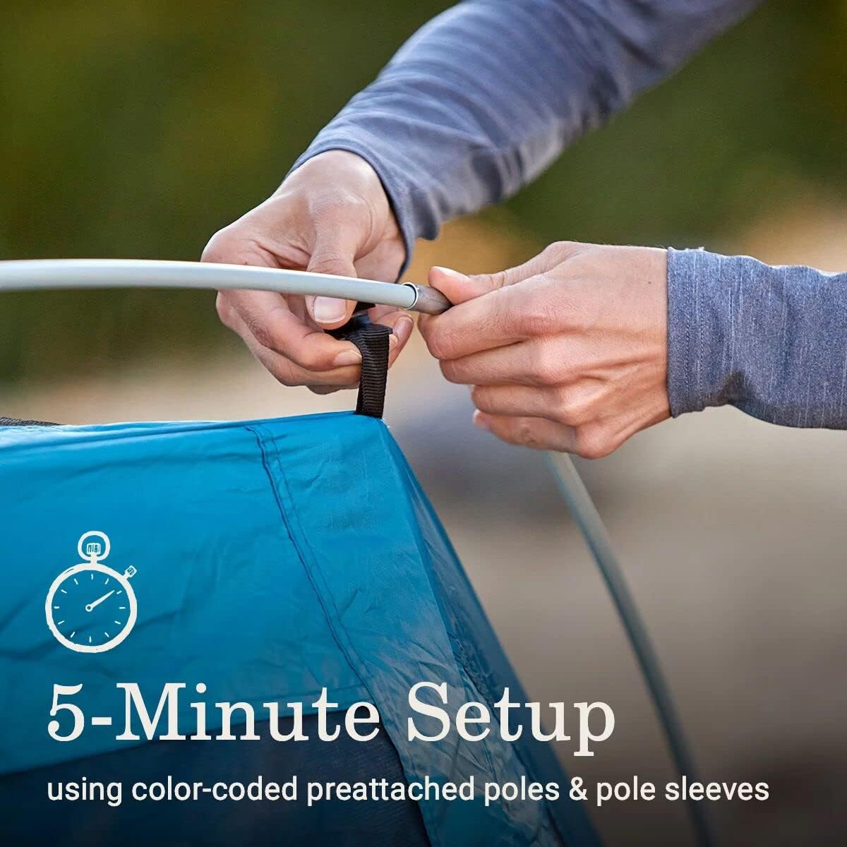 Coleman Skydome Camping Tent with Dark Room Technology and Screened Porch