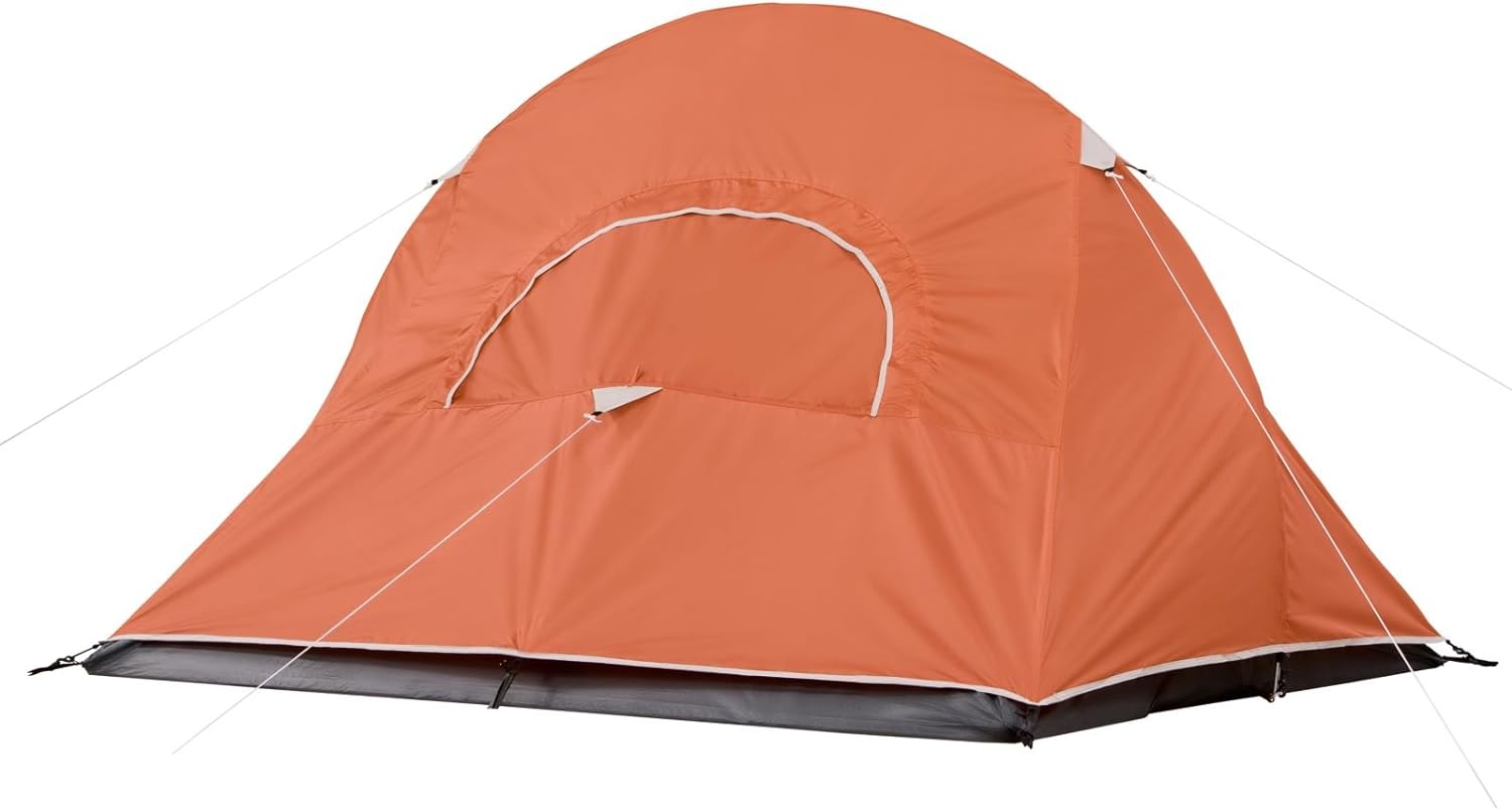 Coleman Hooligan Backpacking Tent, 2/3/4 Person Lightweight Backpacking Tent, Includes Full Rainfly, Storage Pocket, Carry Bag and 10 Minute Setup