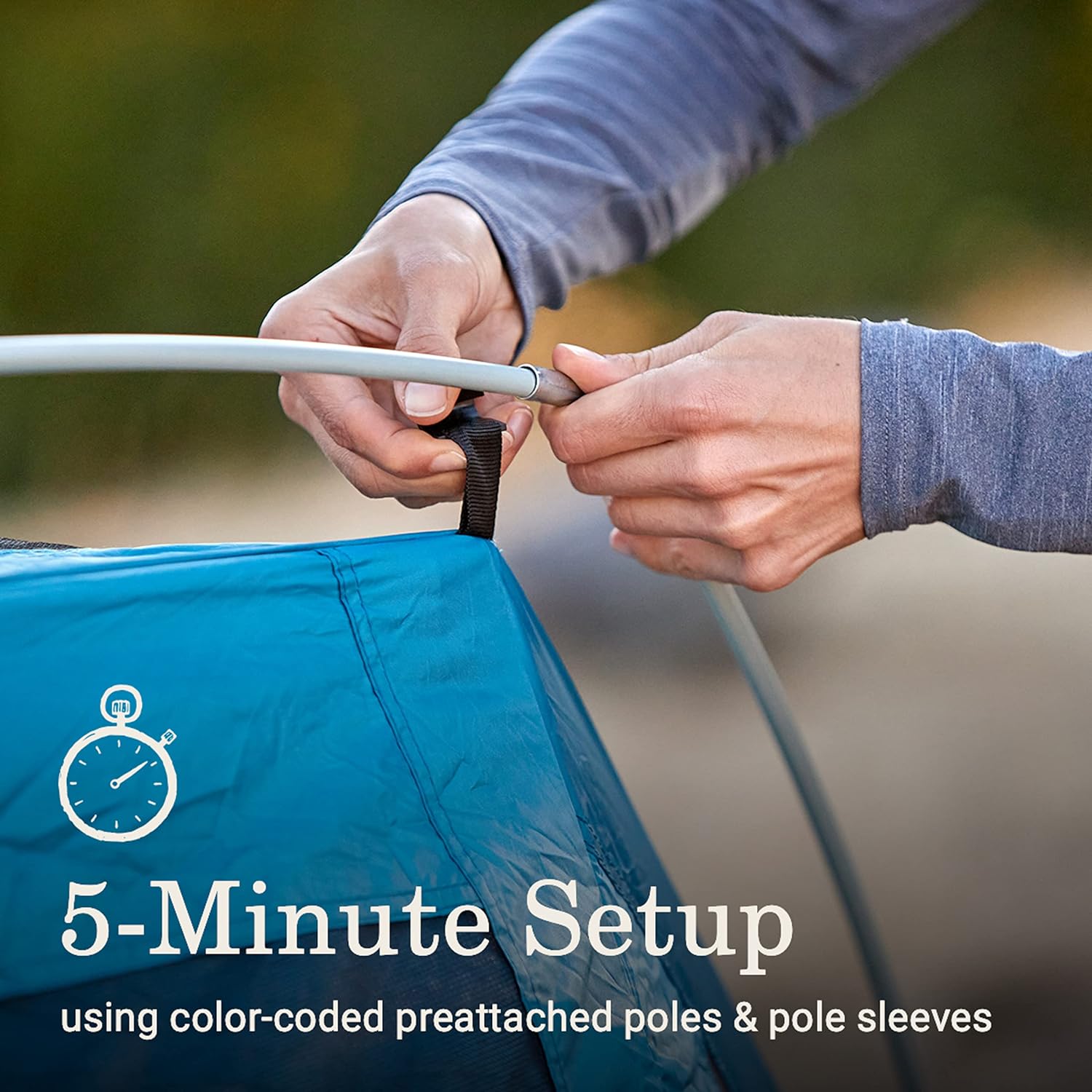 Coleman Skydome Camping Tent with Dark Room Technology and Screened Porch