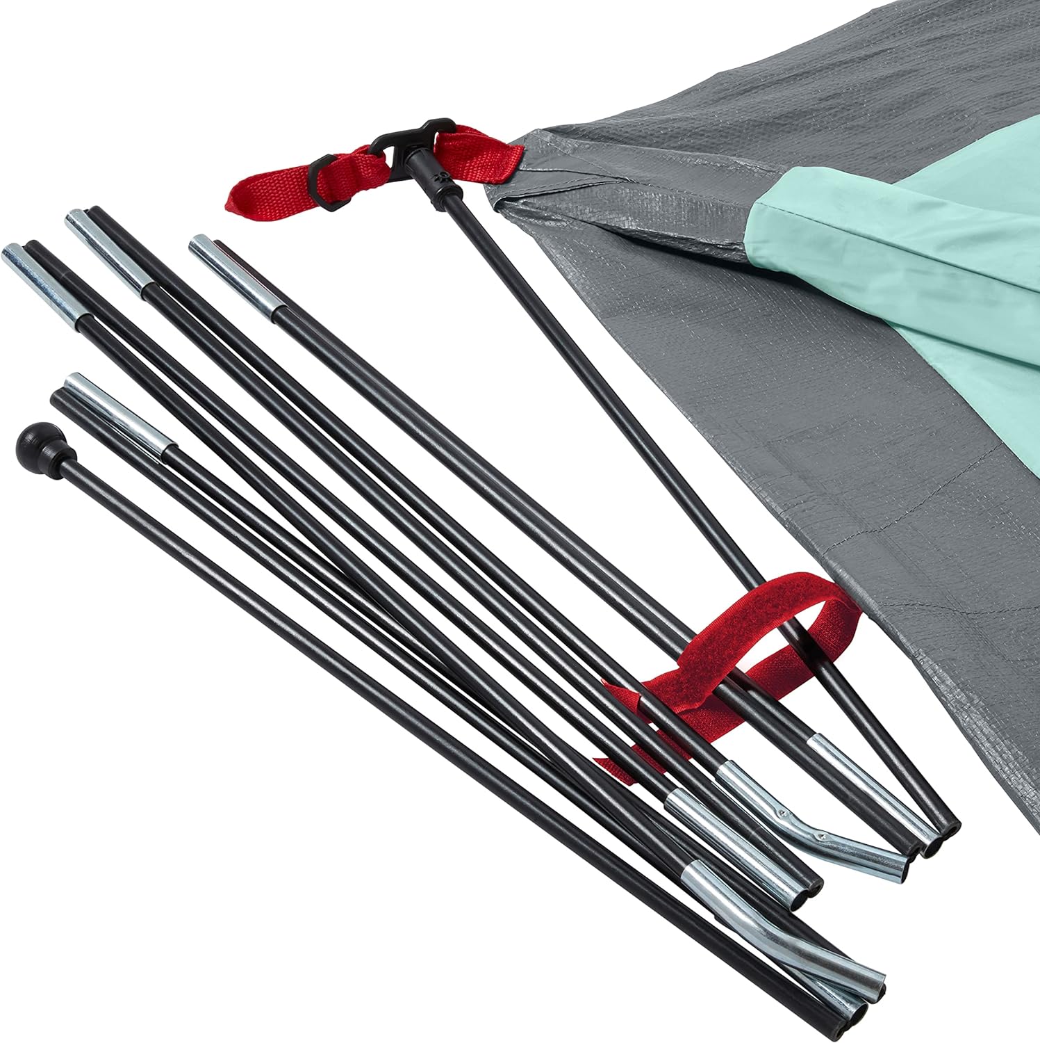 Coleman Skydome Camping Tent, 2/4/6/8 Person Weatherproof Tent with 5 Minute Setup, Includes Pre-Attached Poles, Rainfly, Carry Bag & Roomy Interior