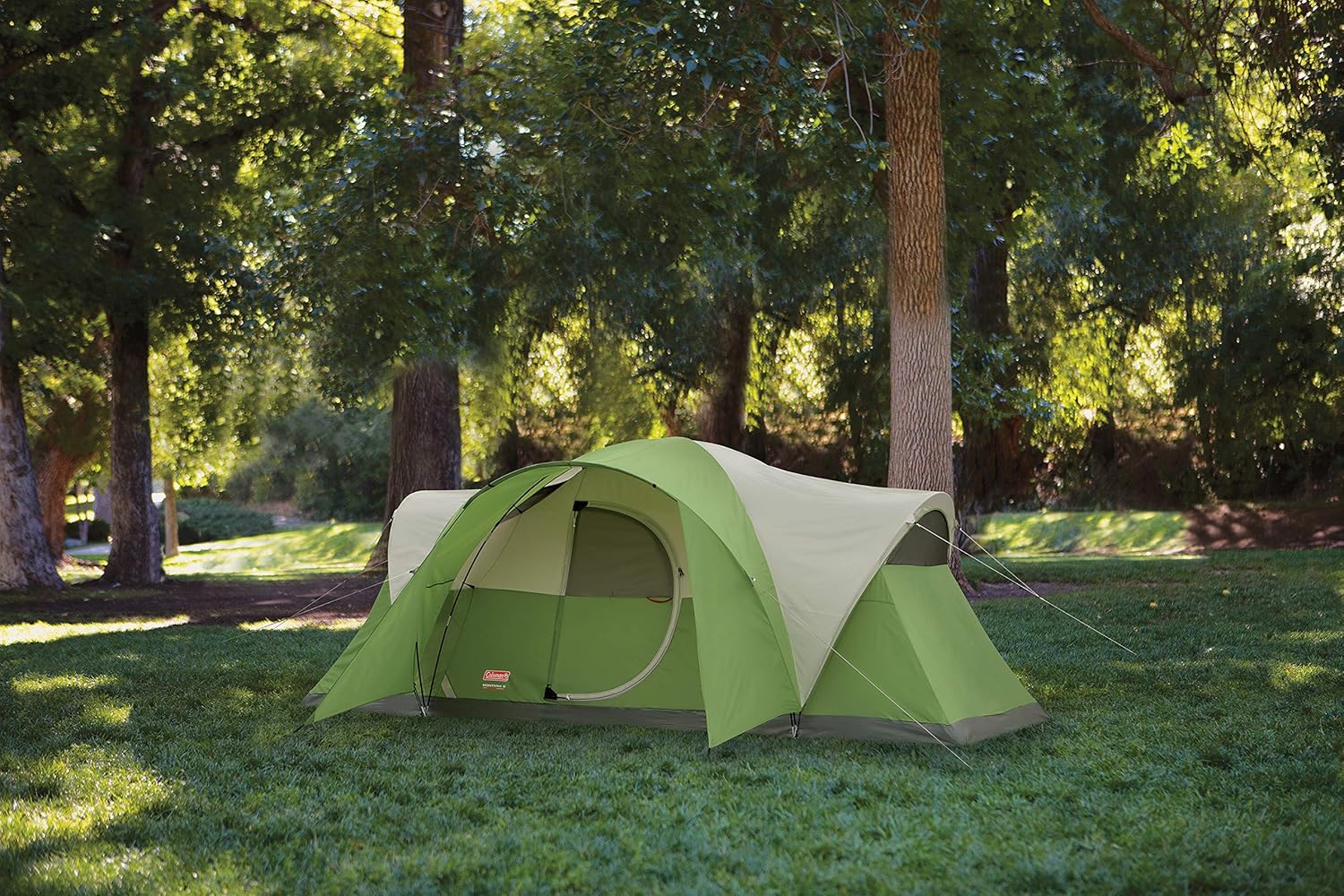 Coleman Montana Camping Tent, 6/8 Person Family Tent with Included Rainfly, Carry Bag, and Spacious Interior, Fits Multiple Queen Airbeds and Sets Up in 15 Minutes