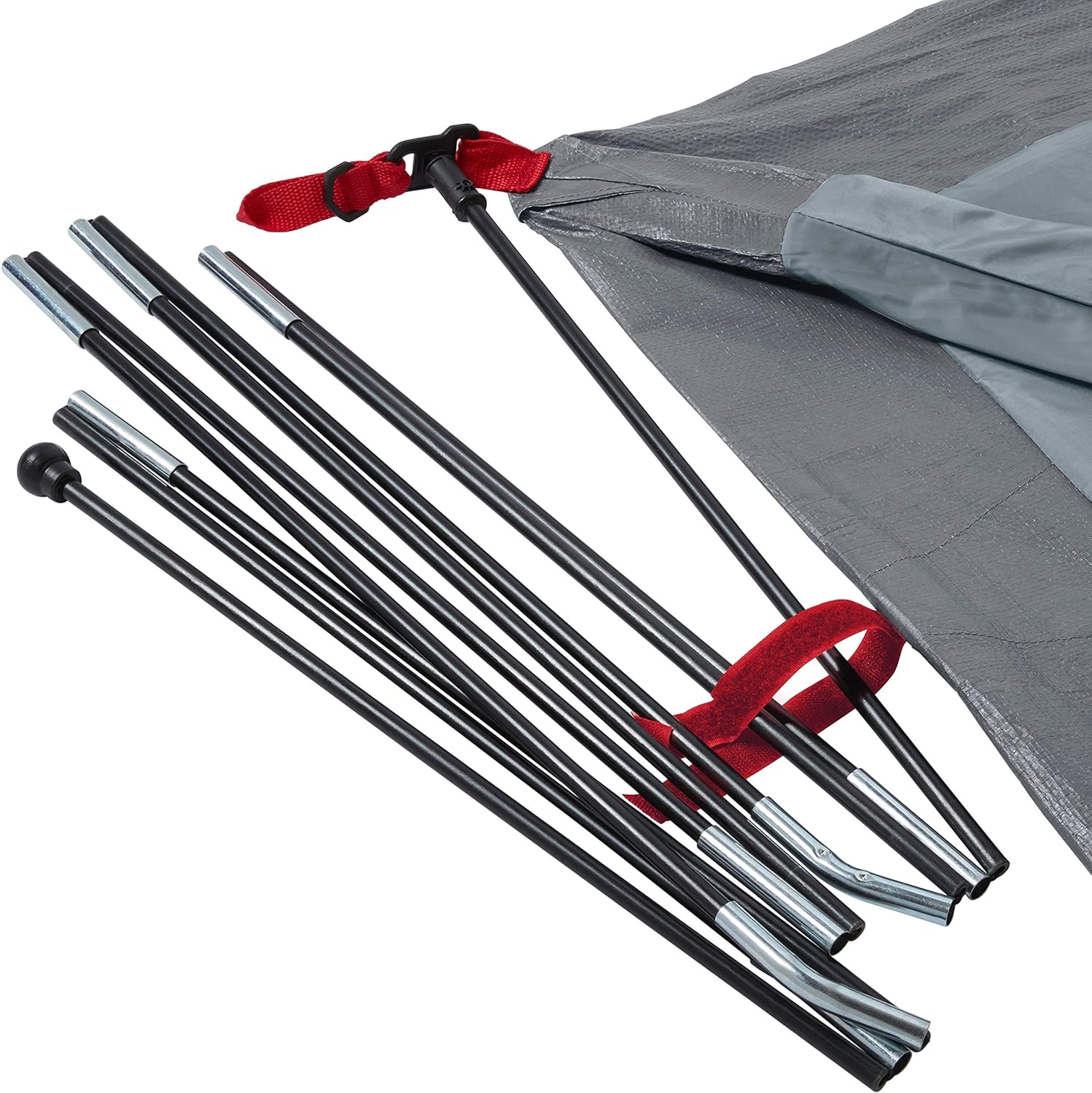 Coleman Skydome Camping Tent, 2/4/6/8 Person Weatherproof Tent with 5 Minute Setup, Includes Pre-Attached Poles, Rainfly, Carry Bag & Roomy Interior