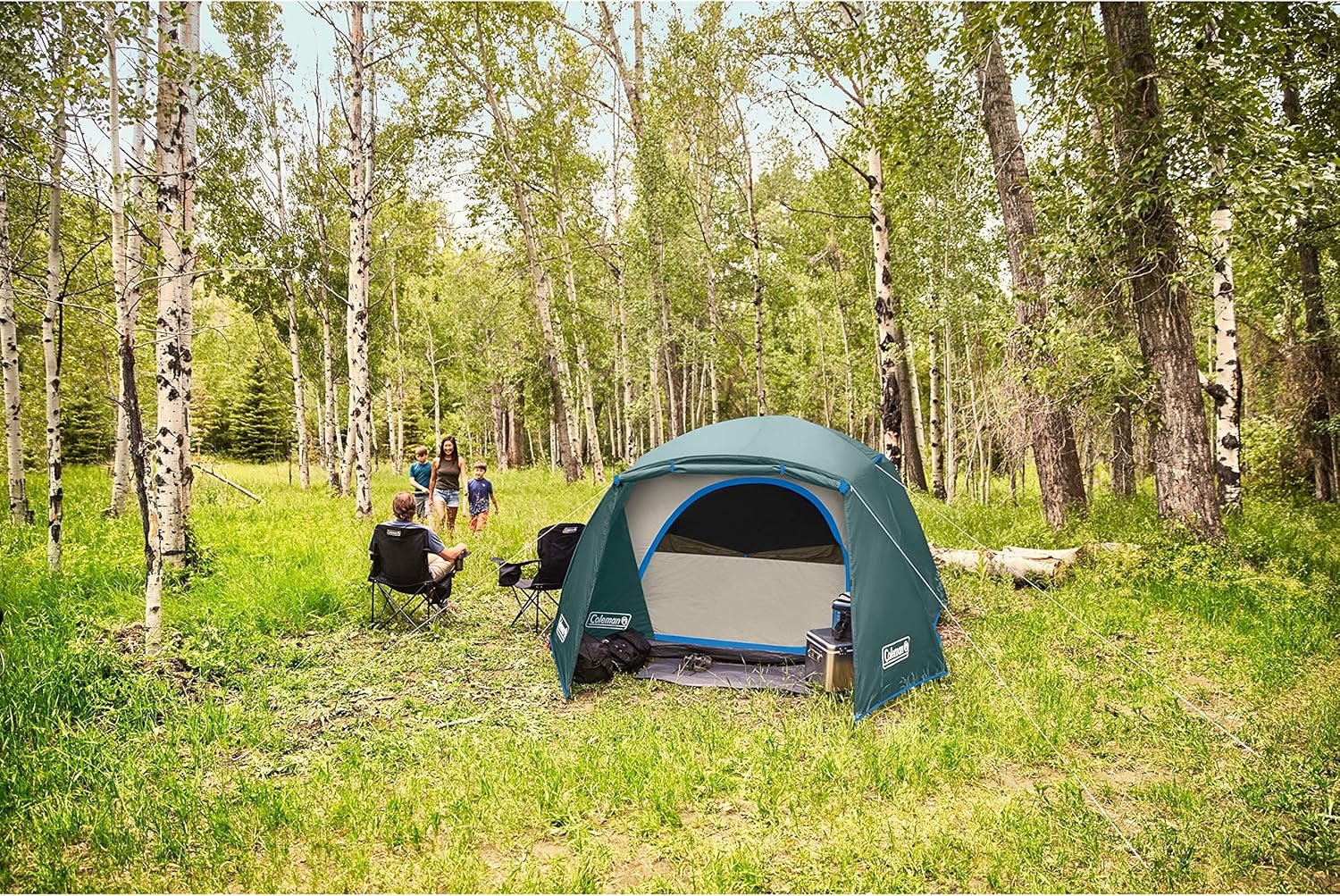 Coleman Skydome Camping Tent with Full-Fly Weather Vestibule, 2/4/6 Person Weatherproof Tent with Rainfly, Carry Bag, Storage Pockets, and Ventilation, Sets Up in 5 Minutes